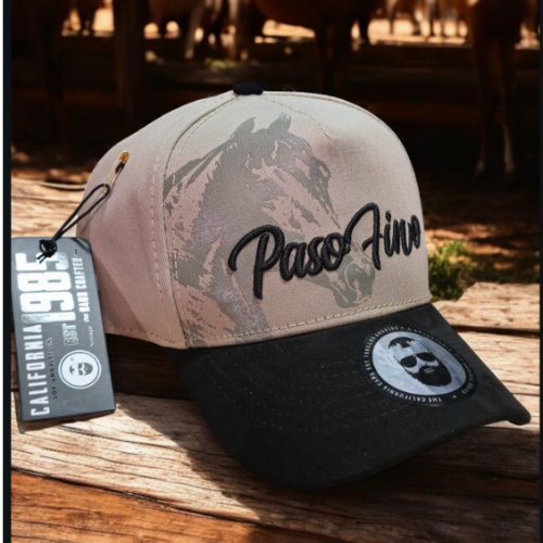 California Paso fino