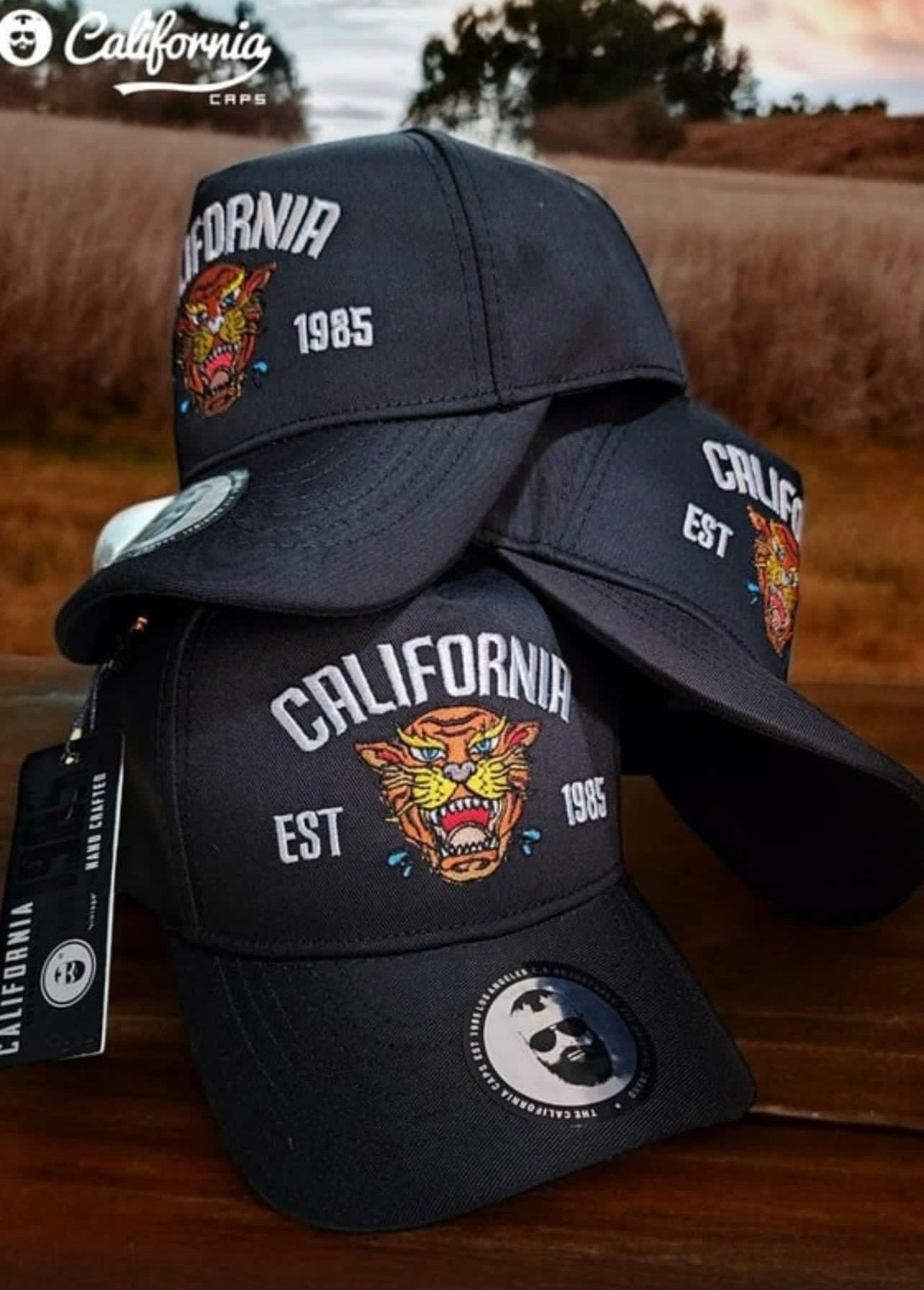CALIFORNIA TIGER